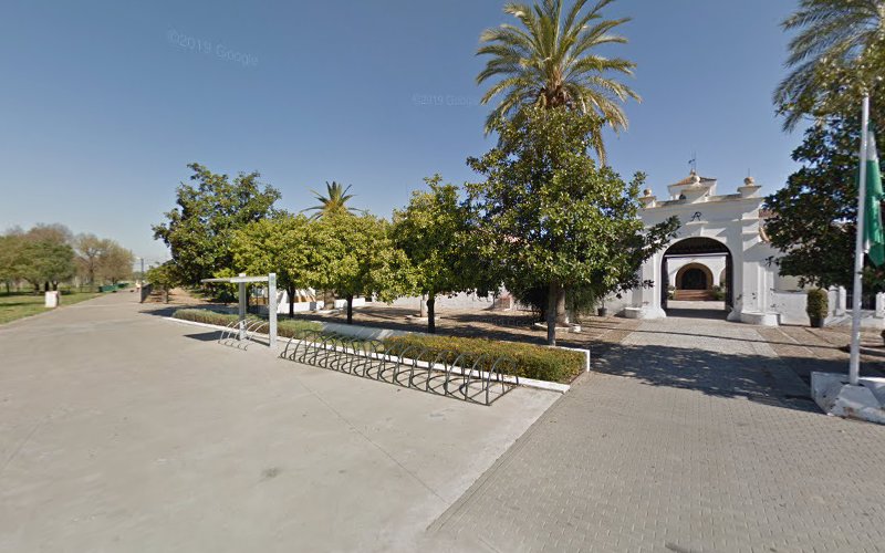 observatorios astronomicos cerca de mi Asociación Astronómica Astronomía Sevilla