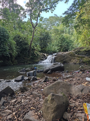 observatorios astronomicos cerca de mi Jeroglifos De Cara De Mono