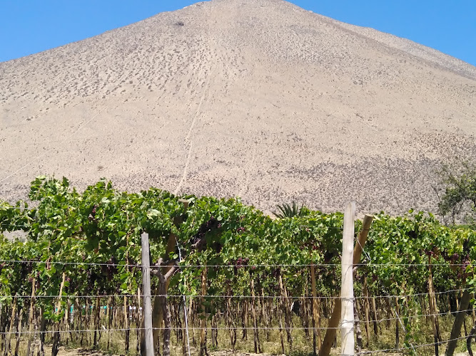 observatorios astronomicos cerca de mi Mirador Panorámico Peralillo