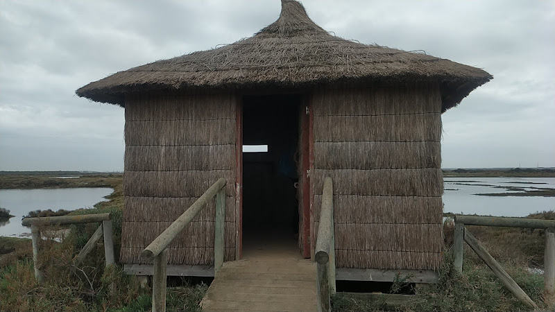 observatorios astronomicos cerca de mi Observatorio De Aves Cubierto - Salinas Del Pesquero