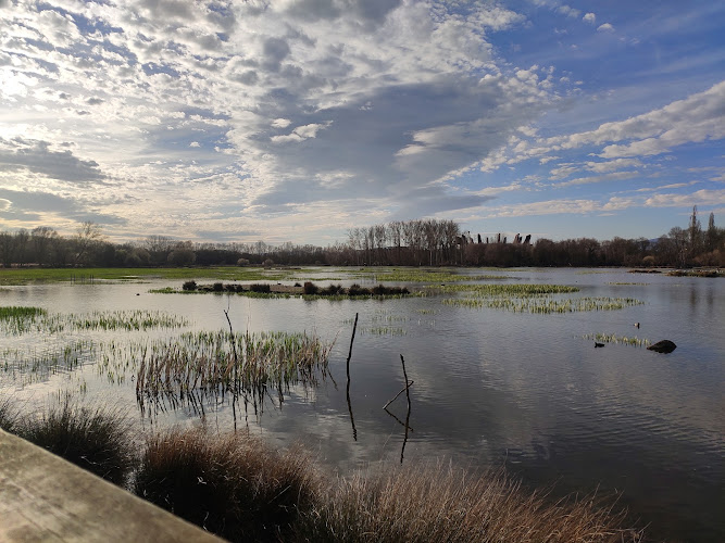 observatorios astronomicos cerca de mi Observatorio De Aves 