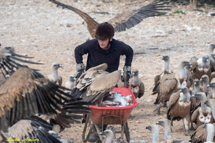 observatorios astronomicos cerca de mi Observatorio De Aves Mas De Bunyol