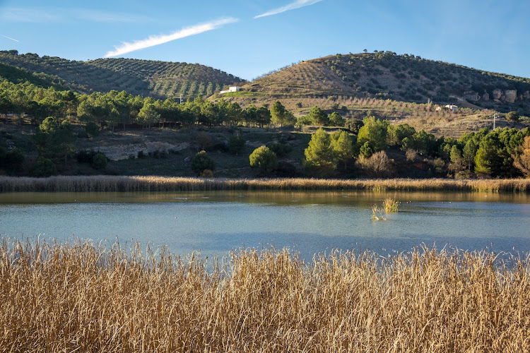 observatorios astronomicos cerca de mi Observatorio De Aves