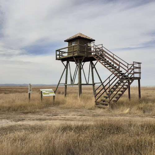 observatorios astronomicos cerca de mi Observatorio El Cañizar