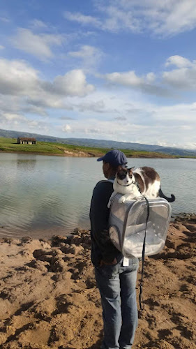 observatorios astronomicos cerca de mi Observatorio Embalse La Copa