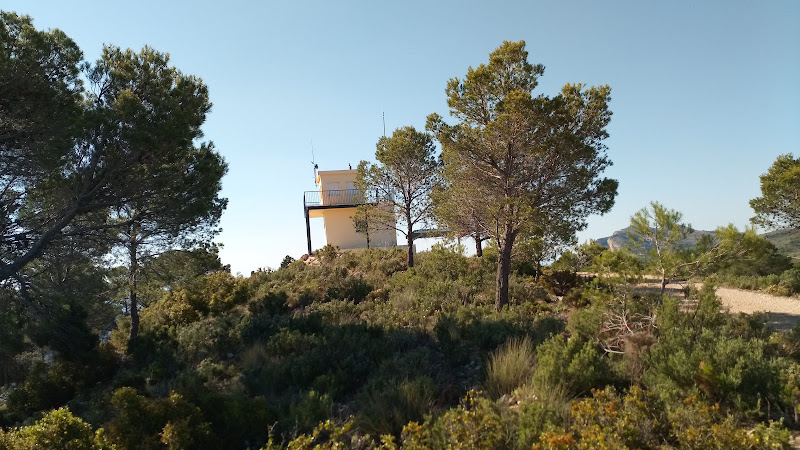 observatorios astronomicos cerca de mi Observatorio Forestal Salviar (Alt De La Martina)