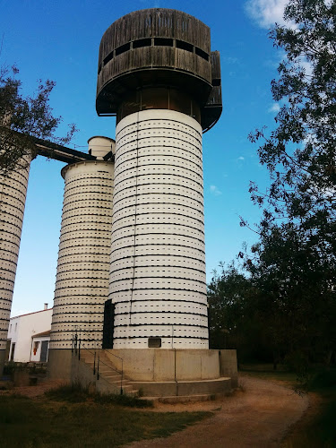 observatorios astronomicos cerca de mi Observatorio Senillosa
