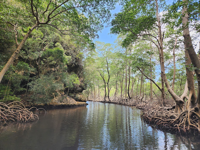 observatorios astronomicos cerca de mi Parque Nacional Los Haitises